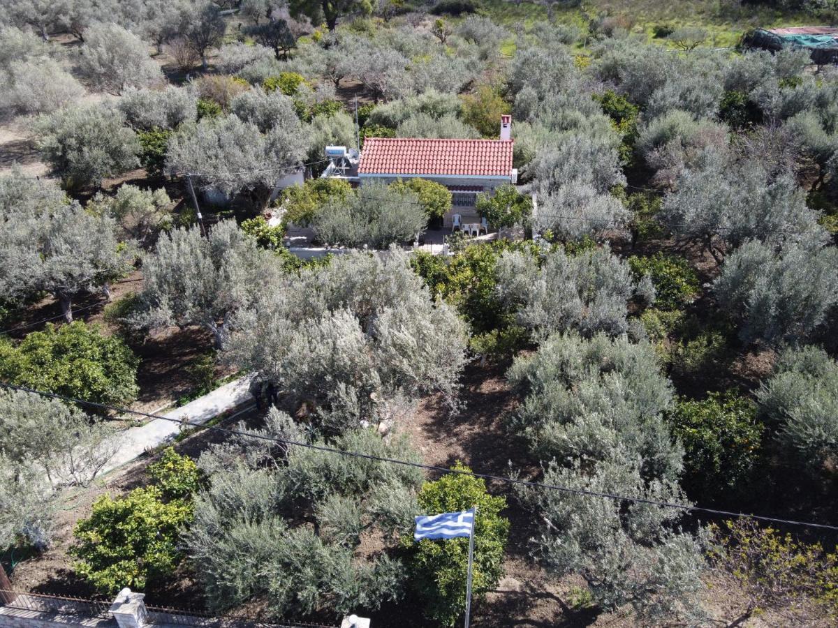 Villa Kavalino Kolymbia Extérieur photo