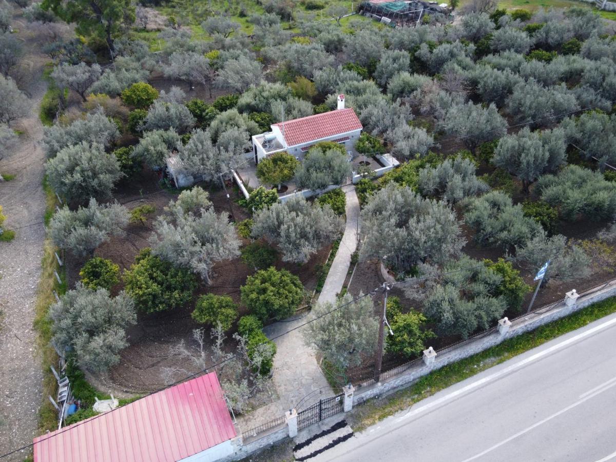 Villa Kavalino Kolymbia Extérieur photo