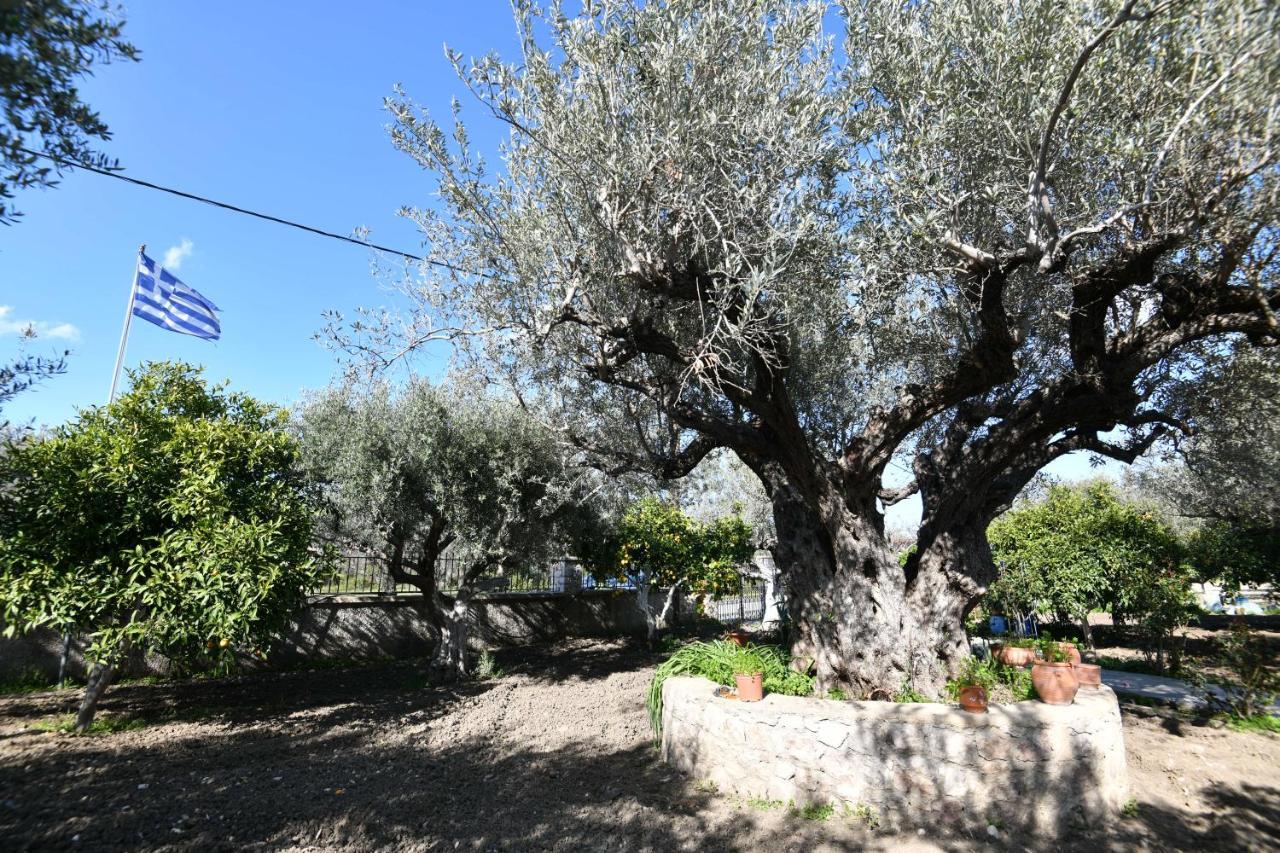 Villa Kavalino Kolymbia Extérieur photo